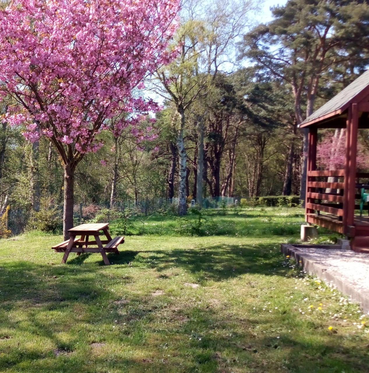 Camping Les Falaises De Toussaint Exterior photo